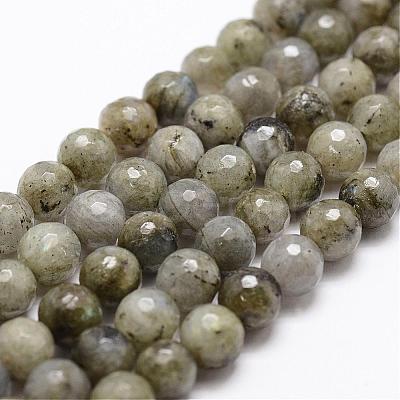 Natural Labradorite Beads Strands G-D840-10-8mm-1