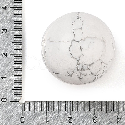 Natural Howlite Sphere Beads G-I367-05D-1