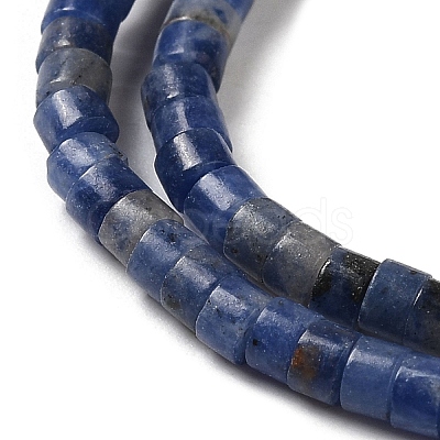 Natural Sodalite Beads Strands G-E612-A12-1