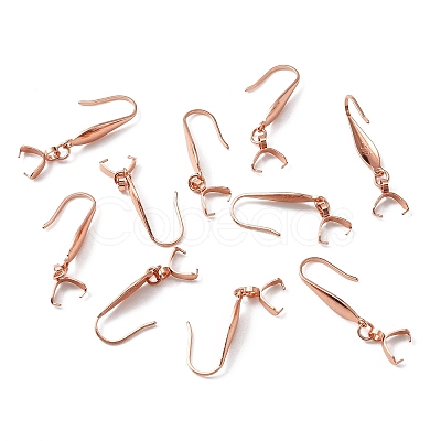 316 Stainless Steel Earring Hooks STAS-WH0031-18RG-1