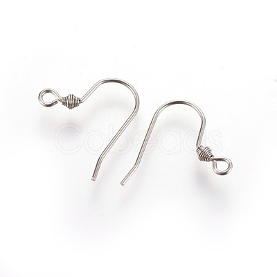 Tarnish Resistant 304 Stainless Steel Earring Hooks STAS-R063-67-1