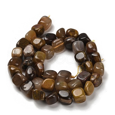 Natural Petrified Wood Beads Strands G-P497-01E-72-1