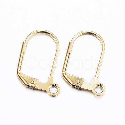 304 Stainless Steel Earrings X-STAS-P166-11G-1