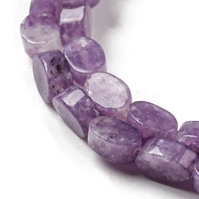 Natural Lepidolite/Purple Mica Stone Beads Strands G-M420-H12-03-1