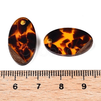 Transparent Resin and Walnut Wood Pendants RESI-T057-03D-1