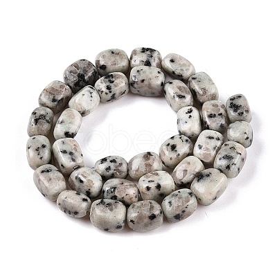 Natural Sesame Jasper/Kiwi Jasper Beads Strands G-T138-80-1