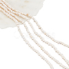  2 Strands Natural Cultured Freshwater Pearl Beads Strands PEAR-NB0002-35-1