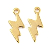 201 Stainless Steel Charms STAS-Z049-03G-1