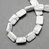 Natural Howlite Beads Strands X-G-S112-23-2