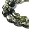Natural Teardrop Xinyi Jade/Chinese Southern Jade Beads Strands G-L242-23-4
