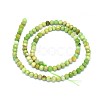 Natural Serpentine Beads Strands G-O180-02B-2