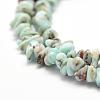 Natural Larimar Beads Strands G-P302-03-3