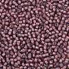 TOHO Round Seed Beads SEED-JPTR11-0305-2