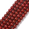 Natural Howlite Beads Strand G-E592-02-1