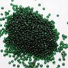 6/0 Glass Seed Beads X-SEED-J013-F6-17-2