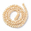 Natural Trochid Shell/Trochus Shell Bead Strands SSHEL-N034-104-A01-2