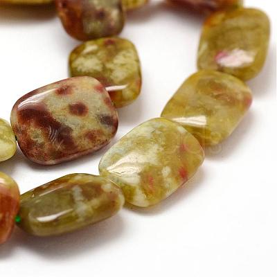 Rectangle Natural Dragon Blood Jasper Beads Strands G-K072-02D-1