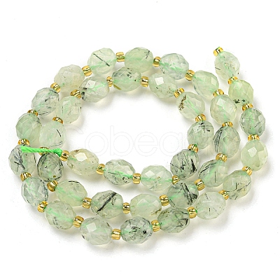 Natural Prehnite Beads Strands G-N342-43-1