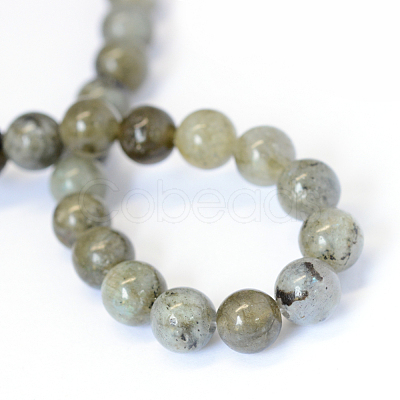 Natural Labradorite Round Bead Strands X-G-E334-8mm-19-1