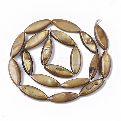 Freshwater Shell Beads Strands SHEL-T014-007A-1