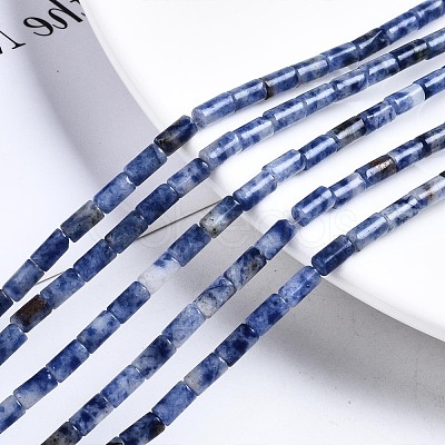 Natural Blue Spot Jasper Beads Strands G-S366-078-1