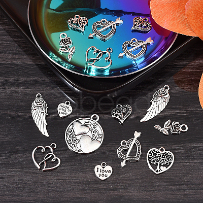 100pcs 10 Style Tibetan Style Alloy Charms TIBEP-CJ0001-37-1