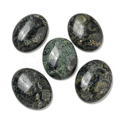 Natural Kambaba Jasper Cabochons G-C115-01B-22-1