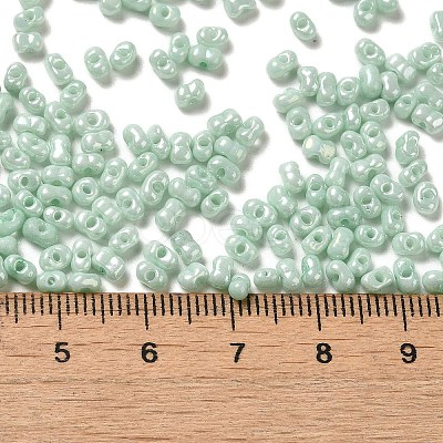 Glass Seed Beads SEED-K009-02A-04-1