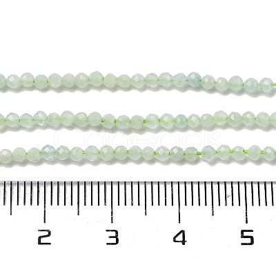 Natural Green Opal Beads Strands G-Z035-A02-01D-1