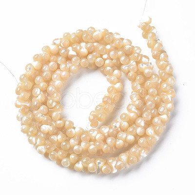 Natural Trochid Shell/Trochus Shell Bead Strands SSHEL-N034-104-A01-1