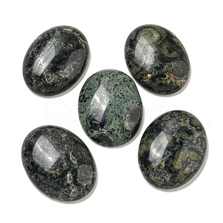 Natural Kambaba Jasper Cabochons G-C115-01B-22-1