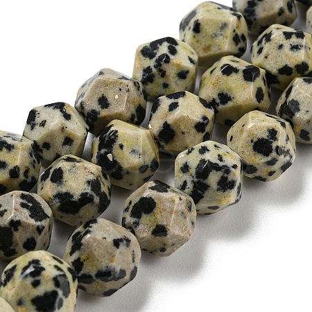 Natural Dalmatian Jasper Beads Strands G-C085-A07-01-1