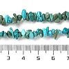 Natural Turquoise Chip Beads Strands X-G-D093-A01-5