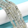 Natural White Labradorite Beads Strands G-K343-C06-01-2