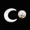 Natural White Shell Beads Set SSHEL-N032-51-B01-2