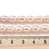 Natural Cultured Freshwater Pearl Beads Strands PEAR-P062-08F-5