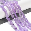 Natural Amethyst(Dyed & Heated) Beads Strands G-P497-01C-44-2