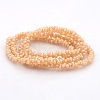 Pearl Luster Plated Glass Bone Beads Strands GLAA-A029A-PL03-2