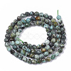 Natural African Turquoise(Jasper) Beads Strands X-G-S361-4mm-002-2