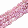 Freshwater Shell Beads Strands SHEL-S270-19-1