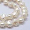 Natural Cultured Freshwater Pearl Beads Strands PEAR-K004-04D-3