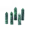 Tower Natural Ruby in Zoisite Home Display Decoration PW-WG20981-06-1