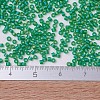 MIYUKI Delica Beads Small SEED-X0054-DBS0858-4