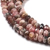 Natural Argentina Rhodonite Beads Strands G-C052-10-01-3