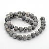 Frosted Natural Map Stone/Picasso Stone/Picasso Jasper Round Bead Strands X-G-M272-08-8mm-2