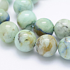 Natural Chrysocolla Beads Strands G-J373-02-14mm-3