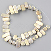 Spray Painted Natural Freshwater Shell Beads Strands SHEL-S276-89A-2