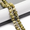 Natural Yellow Turquoise(Jasper) Beads Strands G-K380-A47-04-2