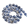 Natural Blue Spot Jasper Beads Strands G-G182-B31-03-3