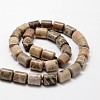 Column Natural Fossil Coral Beads Strands G-K070-02-2